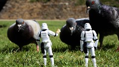 Star wars stormtroopers grass