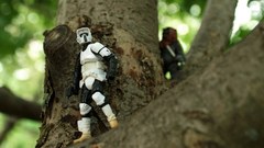 Star wars Trees stormtroopers