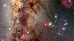 Stars and sgu scorpius womenfaild