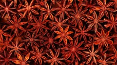 Stars anise