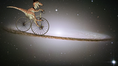 Stars Bicycles monocle raptors