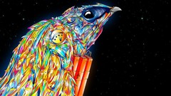 Stars Birds abstract multicolor dynamite Matei Apostolescu