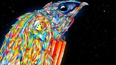 Stars Birds multicolor glowing dynamite night sky artwork Matei 