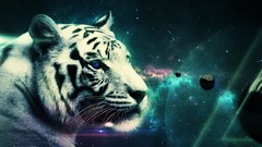 Stars design colors white tiger Tigers planets outer space 