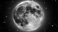 Stars moon monochrome