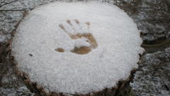 Starting to miss germany