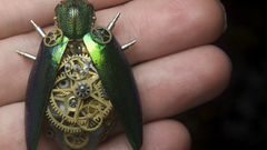 Steampunk clockwork Beetles