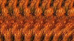 Stereogram