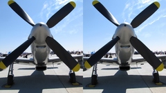 Stereogram cross eyes