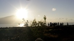 Stitch 308 kaho olawe