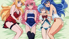 Stockings anime girls zero no tsukaima duplicate Louise 