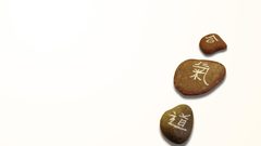 Stones Aikido steine noyaux