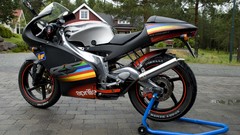 Stones nature gold Aprilia Aprilia RS125 tankpads