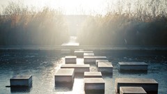 Stones nature water Garden shrubs stairways swimming pools