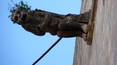 Stones old ancient sculptures Gargoyles