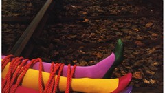 Stones Trees woman three legs multicolor tied railroads