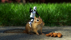 Stormtroopers stormtrooper chipmunk