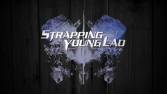 Strapping Wood nature