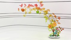 Strawberries chromatic apples K3