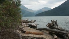 Strawberry Driftwood Lake hills