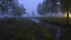 Stream blue dark fog