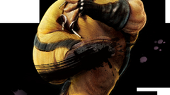 Street fighter iv rufus