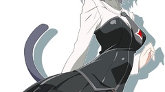 Strike witches animal ears