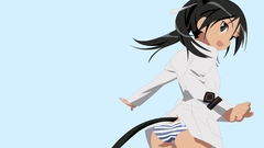 Strike witches animal ears