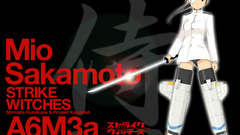 Strike witches animal ears