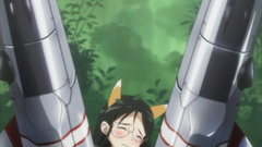 Strike witches animal ears
