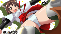 Strike witches animal ears