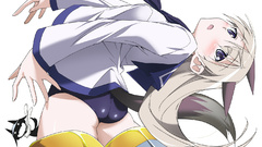 Strike witches animal ears