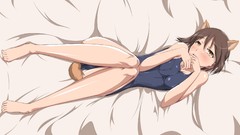 Strike witches animal ears