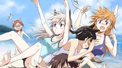 Strike witches animal ears