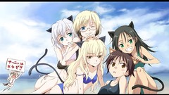 Strike witches animal ears