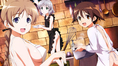Strike witches aprons lynette