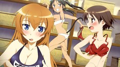 Strike witches bottomless animal