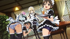 Strike witches maids meganekko