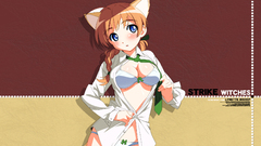 Strike witches nekomimi animal