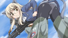 Strike witches nekomimi animal