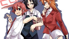 Strike witches Working!! (Anime)