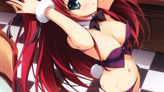String anime girls animal ears yuuki hagure ecchi redheads 