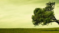 Stuff for screen big calling dual standaloneclean