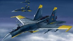 Su-27 flanker Ace Combat