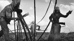 Sugar Sebastião Salgado