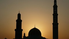 Sultan mosques grand