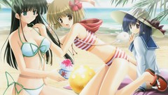 Summer Alice Beaches anime girls ikegami akane Eternal torii