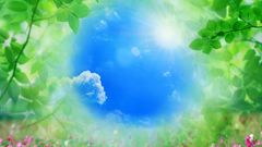 Summer dreamy skyscapes Photo