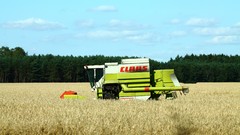 Summer farming Claas harvester