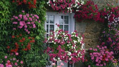 Summer France Garden brittany farmhouse